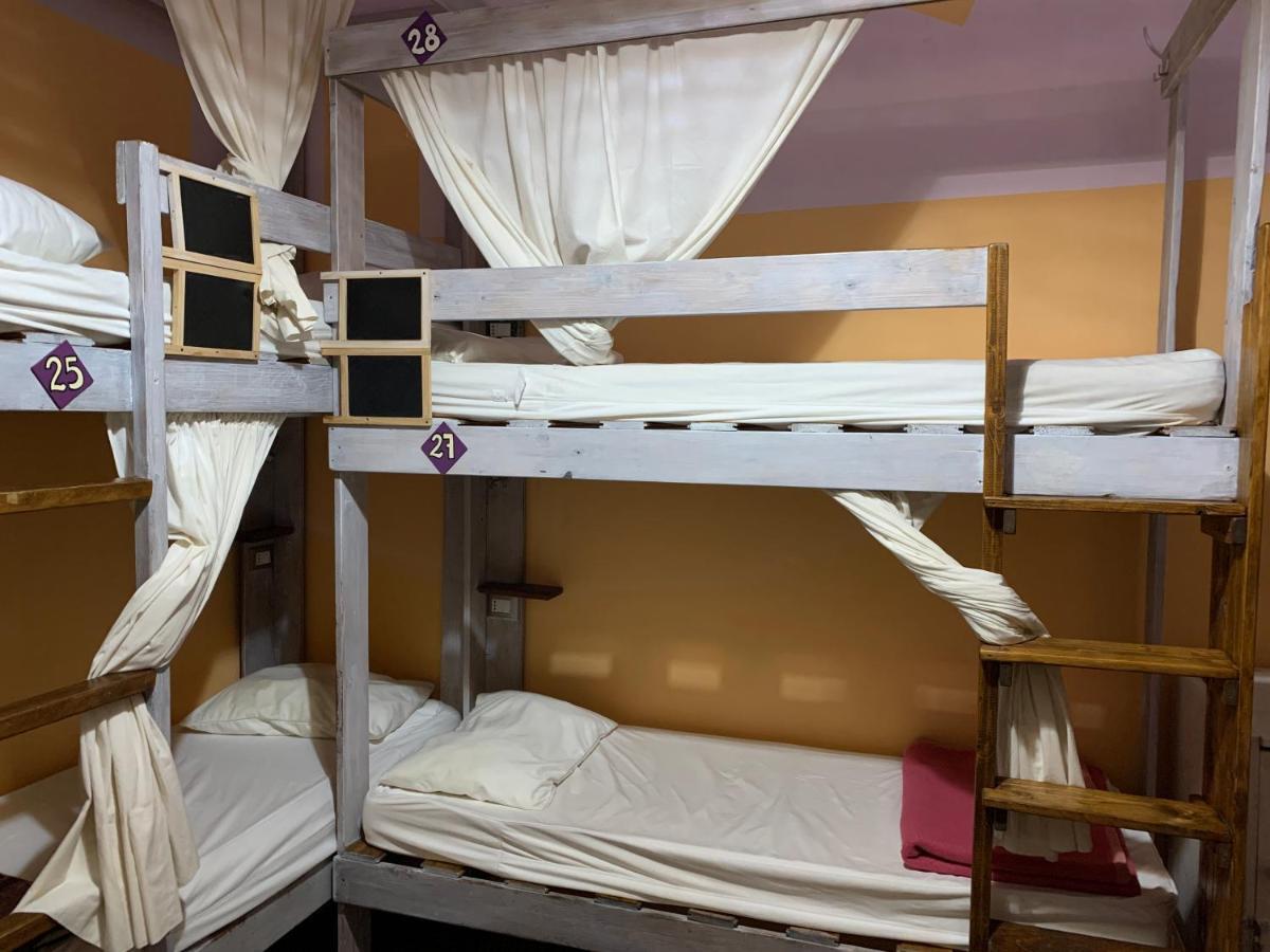 Hostel - Homstel